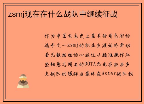 zsmj现在在什么战队中继续征战