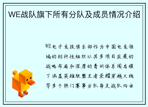 WE战队旗下所有分队及成员情况介绍